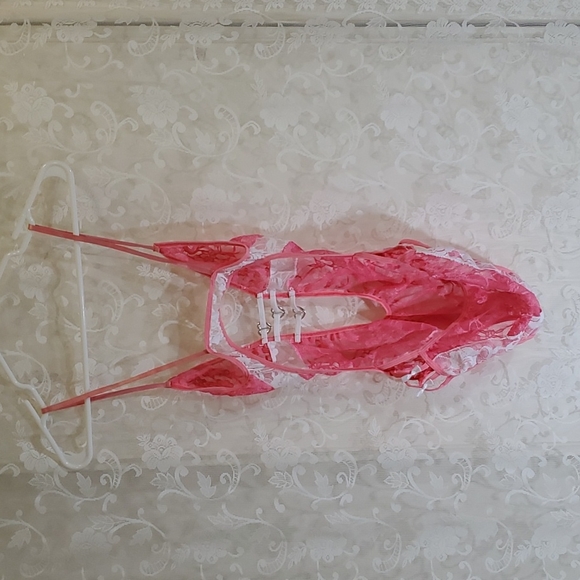 Teddy 🧸 - Picture 3 of 3